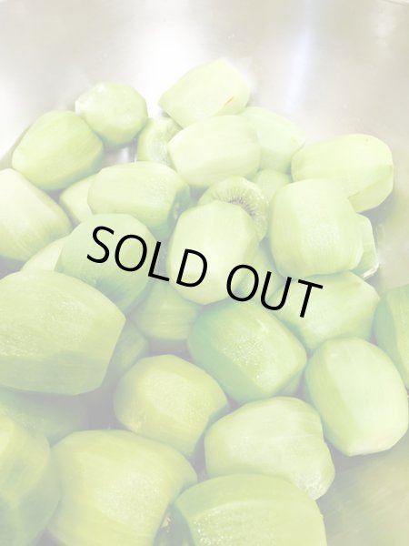 画像2: ドライキウイフルーツ (2)