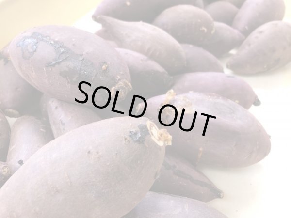 画像3: 【期間限定】熟成紅まさり生芋5kg（サイズS〜Mおうち焼き芋サイズ）　※送料無料対象外商品※ (3)